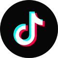 TikTok Downloader