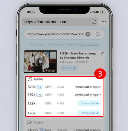 Music formats option