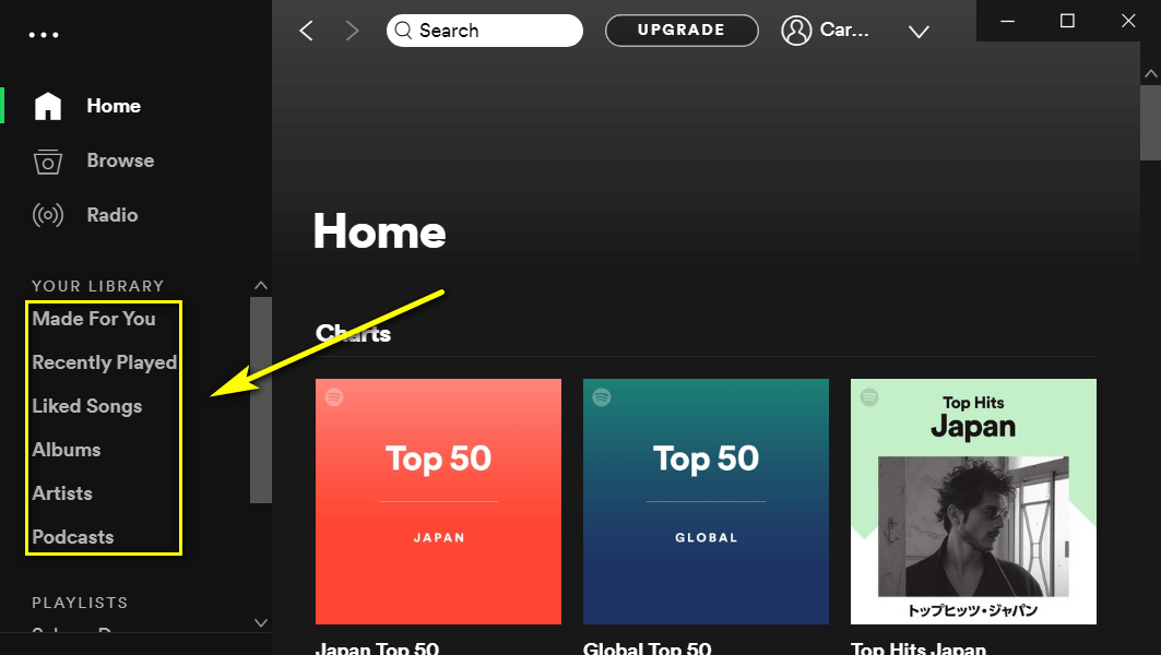 Spotify section selection