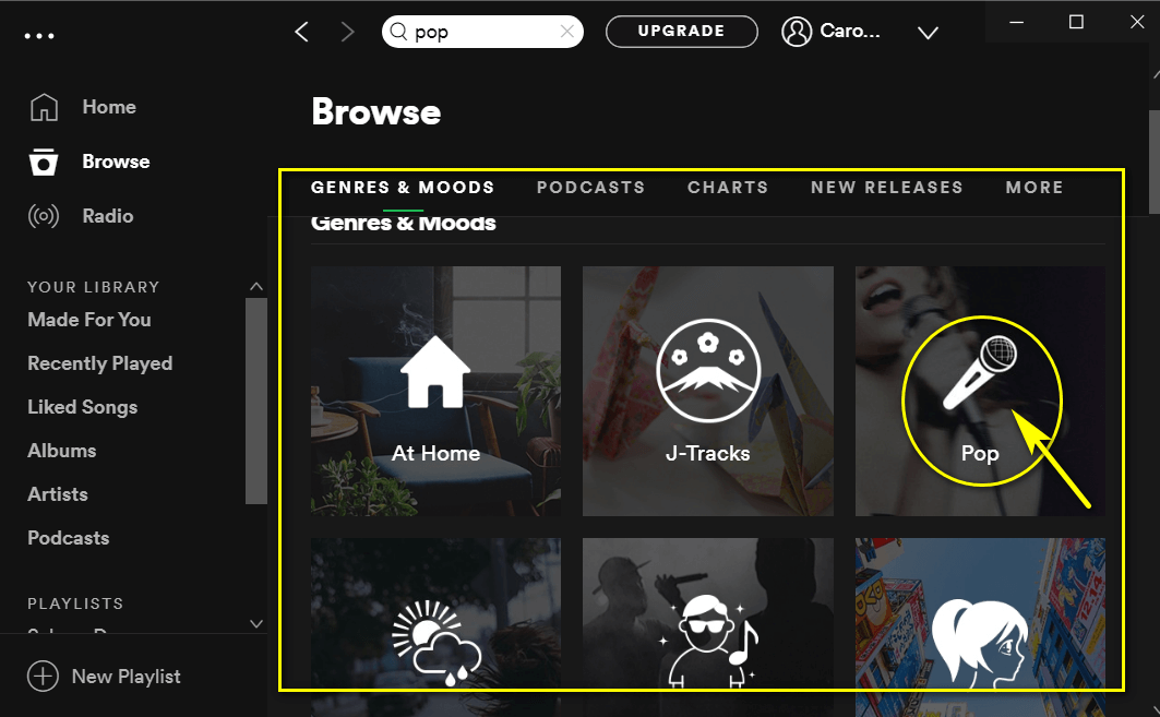 Spotify liked songs category browsing