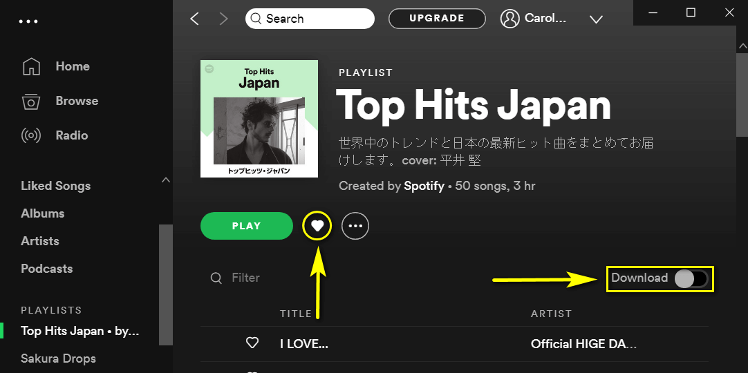 Spotify music downloading