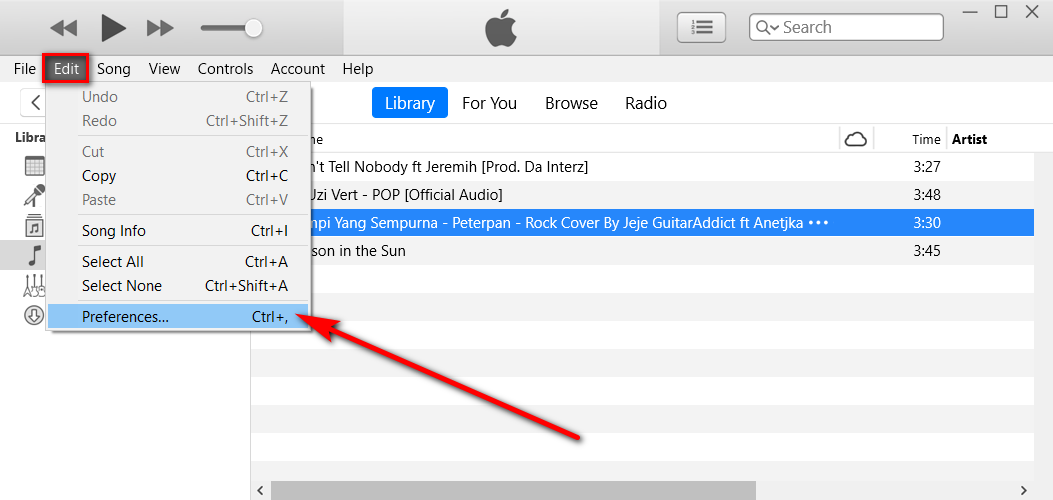 iTunes preferences