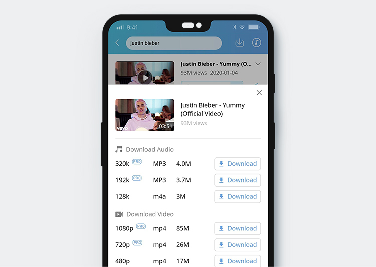 Choose a format to download music