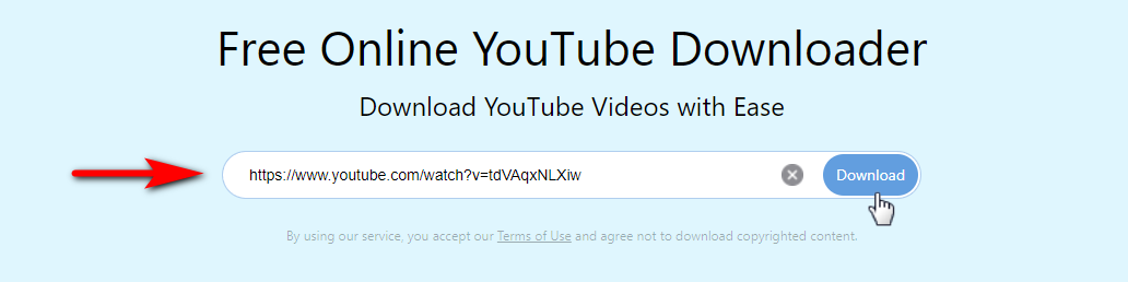 Paste the YouTube URL into the search box