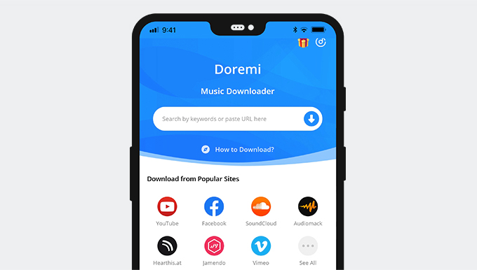 Inserați adresa URL în Doremi Music Downloader