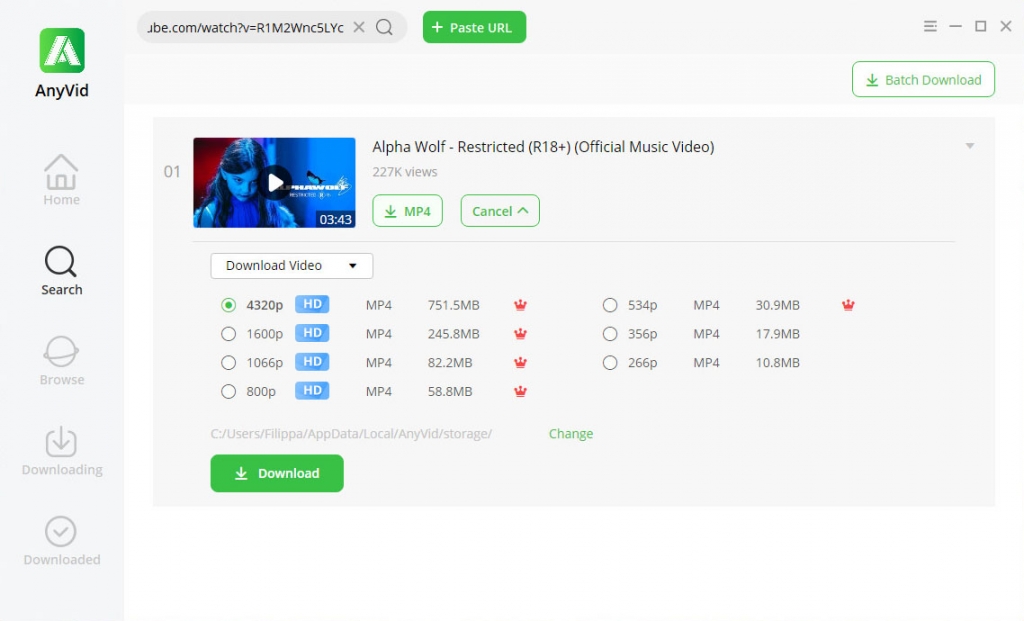 Download de YouTube-video